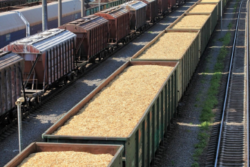 Украина достигла «потолка» по ж/д экспорту зерна